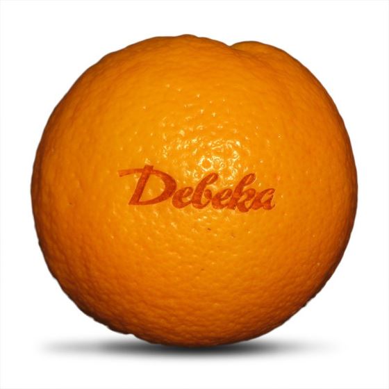  RFH brand green laser source marking food