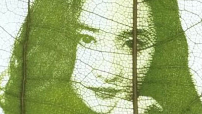 DIY customization of leaf engraving with RFH 5w uv laser