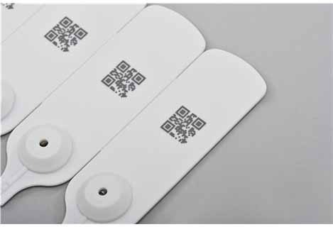 355nm UV Laser Marking Machine cold processing marking QR code on plastic label, anti-theft